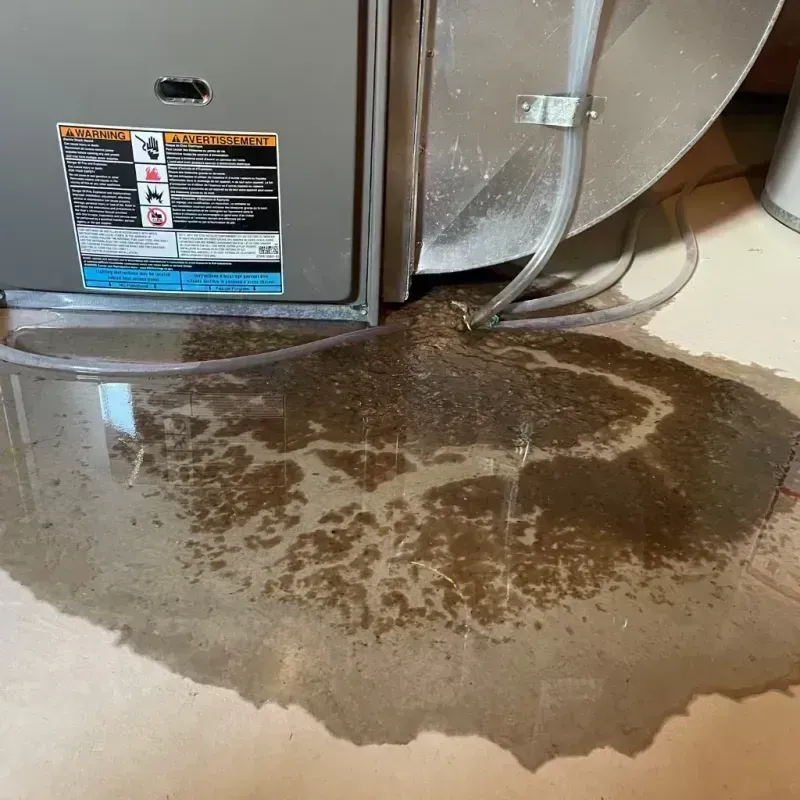 Appliance Leak Cleanup in Girard, IL